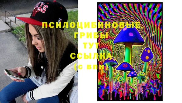 винт Армянск
