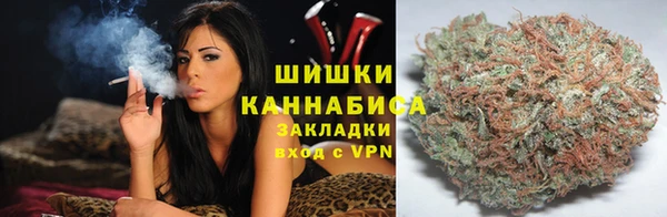винт Армянск