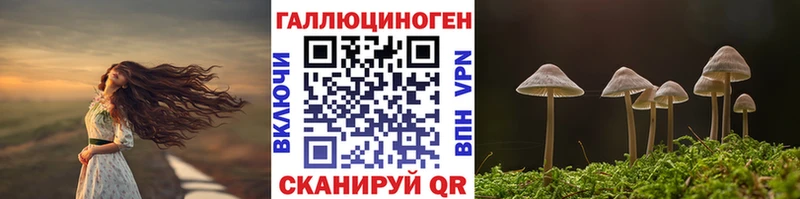 Псилоцибиновые грибы Cubensis  Полевской 